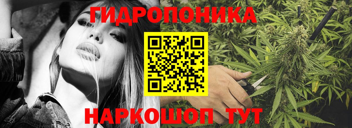 Лянтор  Конопля OG Kush  Вход с VPN  Каннабис план  Марихуана White Widow 